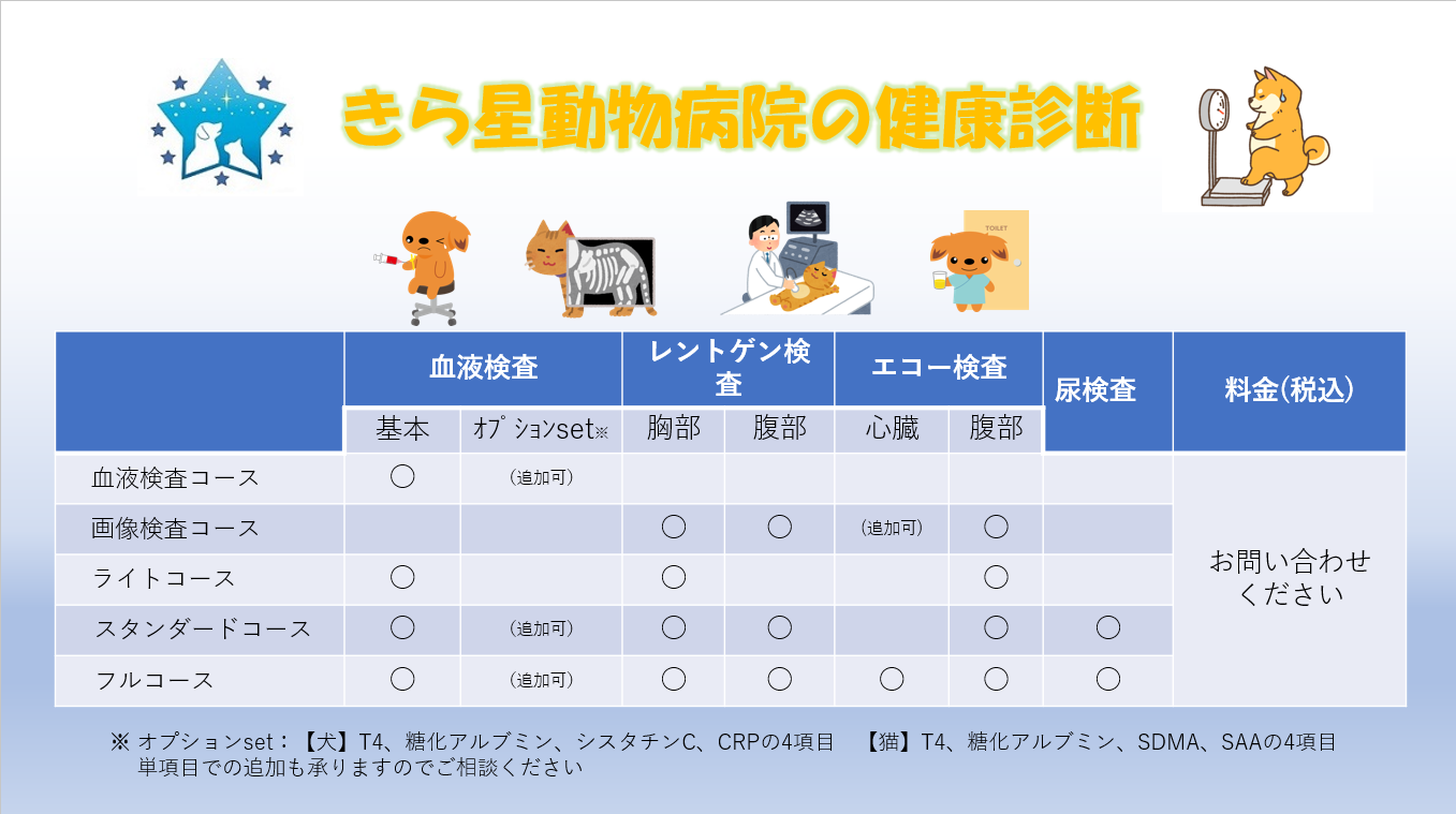 スクリーンショット 2024-09-03 180220